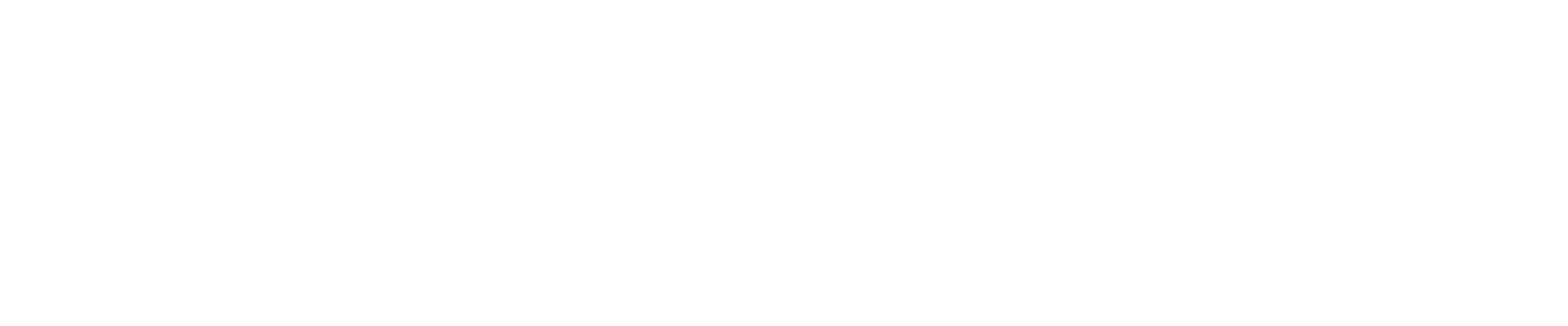 Logo Hotel Security Summit